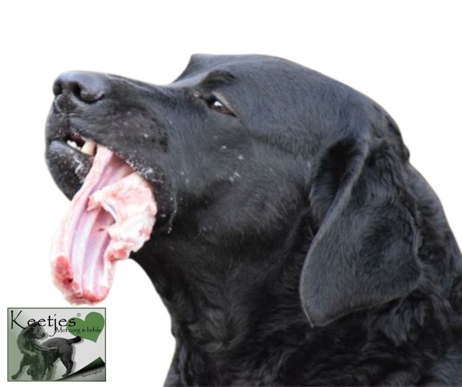 Natuurlijke hondenvoeding